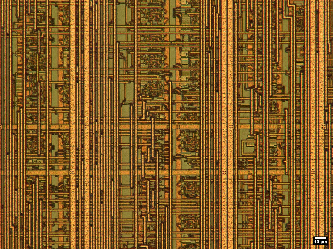 i486SX Die Detail