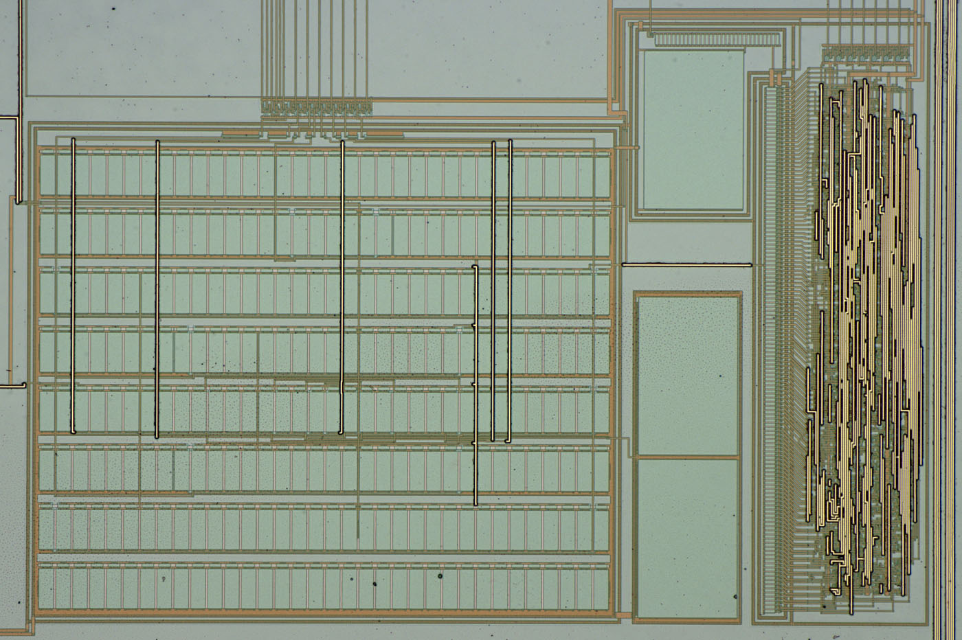 Marquis Die Detail