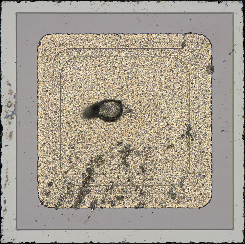 Marquis Die Diode