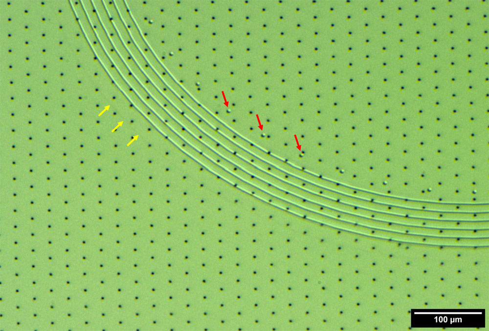 C14272 FPI MEMS-Filter Detail