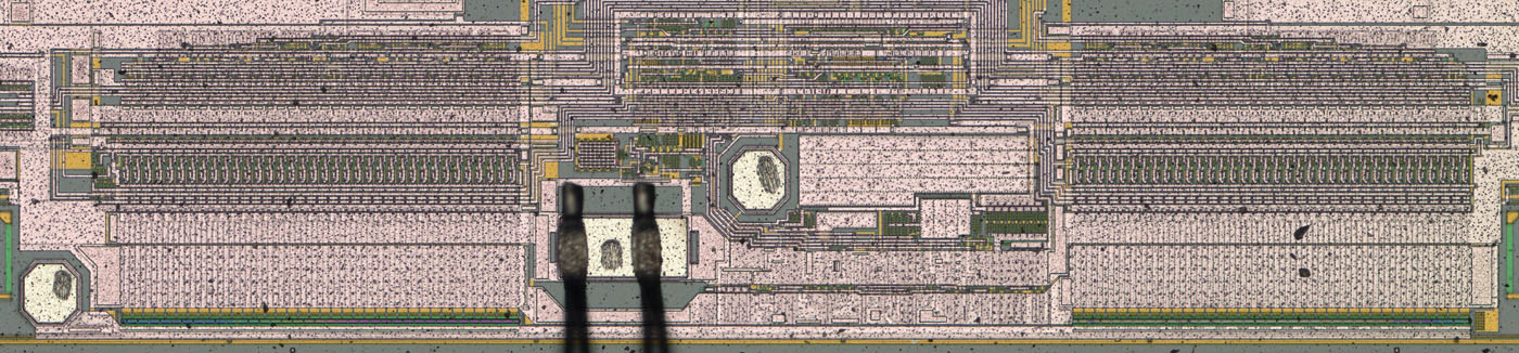 U61256 Die Reservezellen