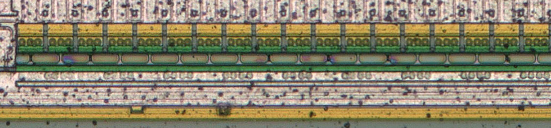 U61256 Die Reservezellen