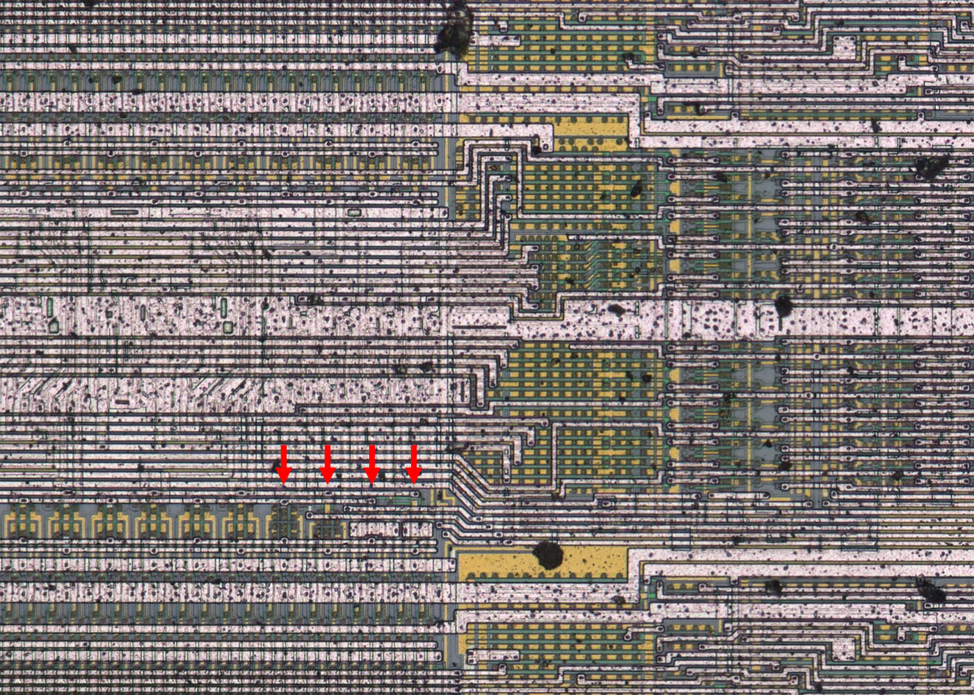 U61256 Die Reservezellen
