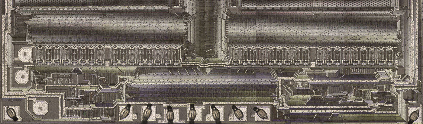 D2164 Die Fuses