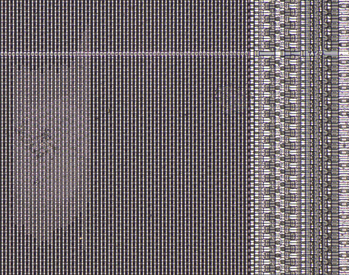 U61000 Die Auffälligkeiten