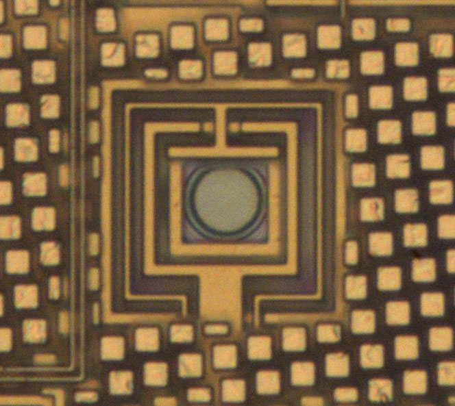 REF80 Die Referenz Details