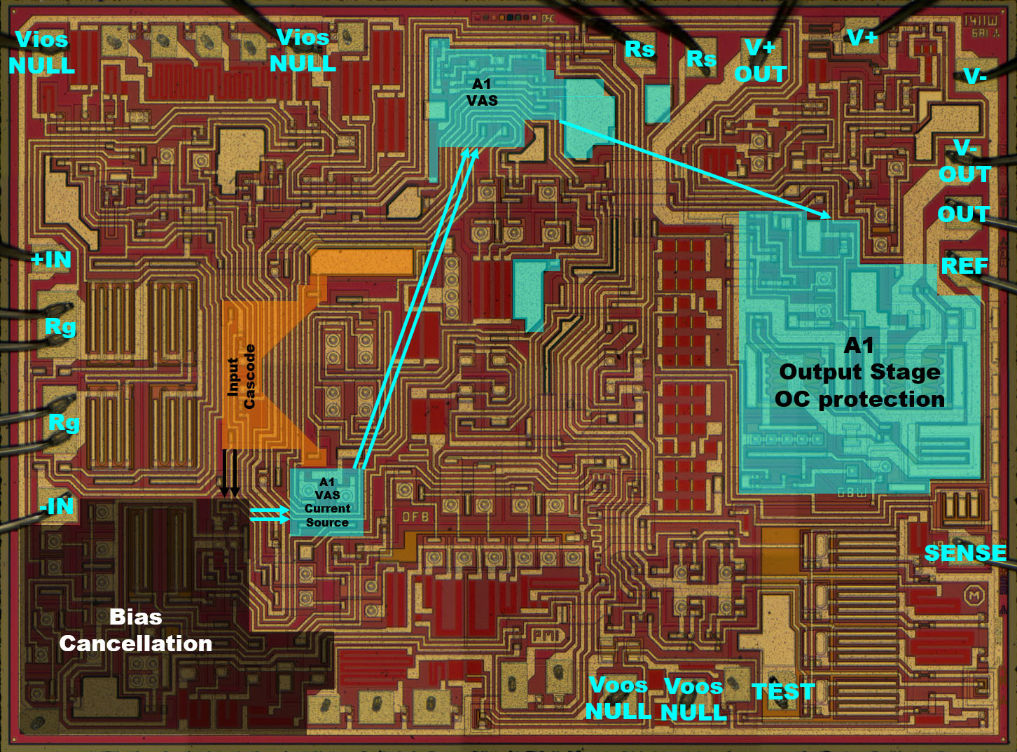 AMP01 Die A1