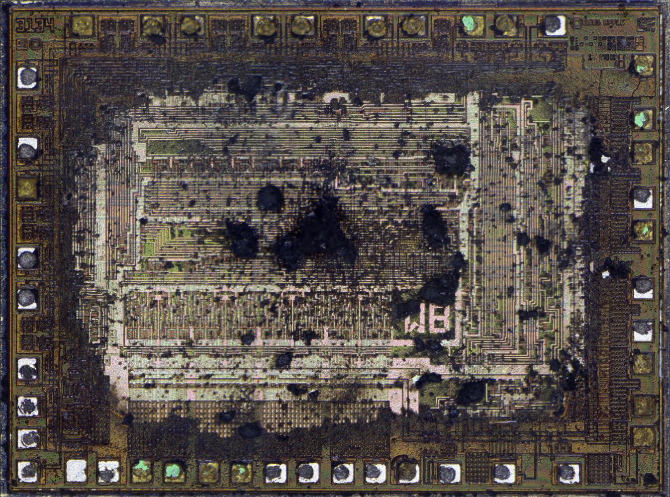 Apple 344-0011 Die Beschichtung