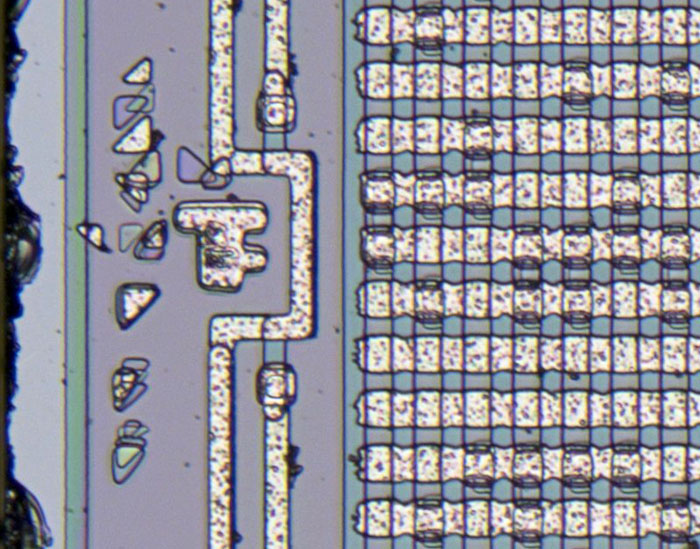 LI2003 Die Hilfsstrukturen