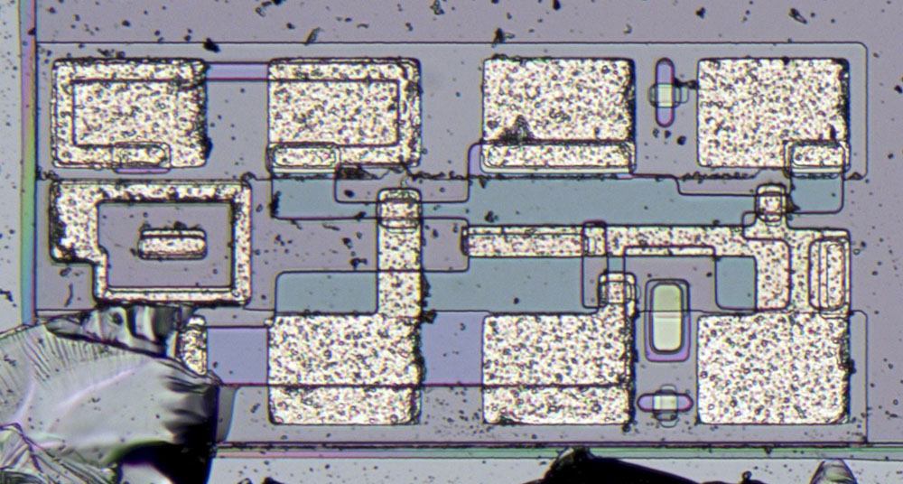 LI2003 Die Hilfsstrukturen