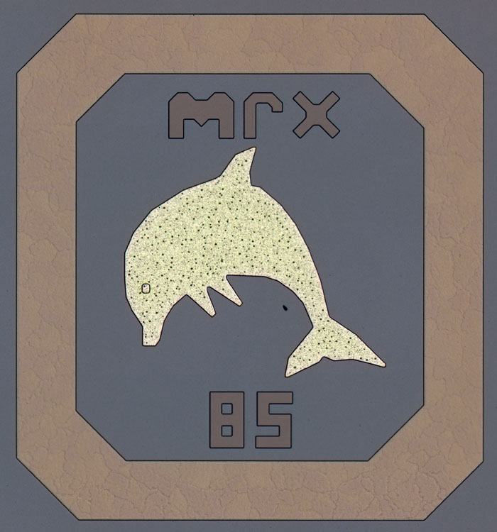 DPS 6000 CPU Die Detail