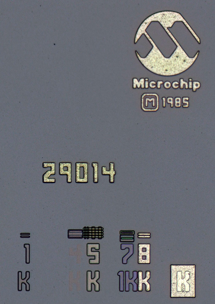 DPS 6000 CPU Die Detail