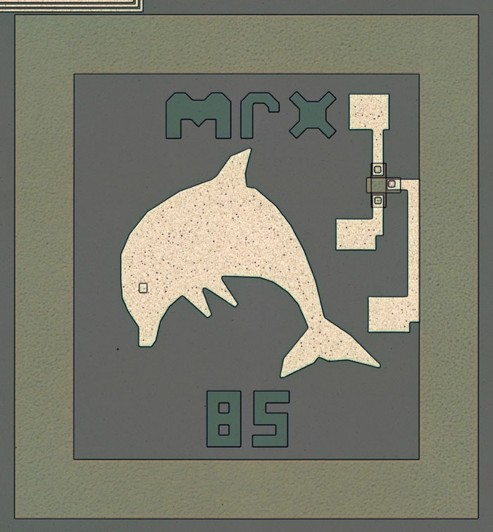 DPS 6000 VMMU Die Detail