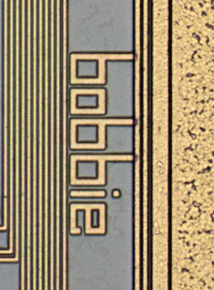 i860XR Die Detail