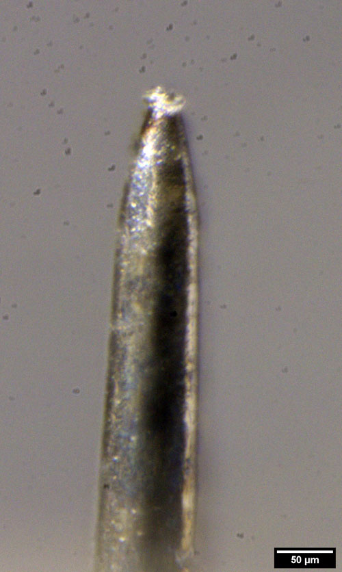 D2Ž Aufbau Spitzenelektrode