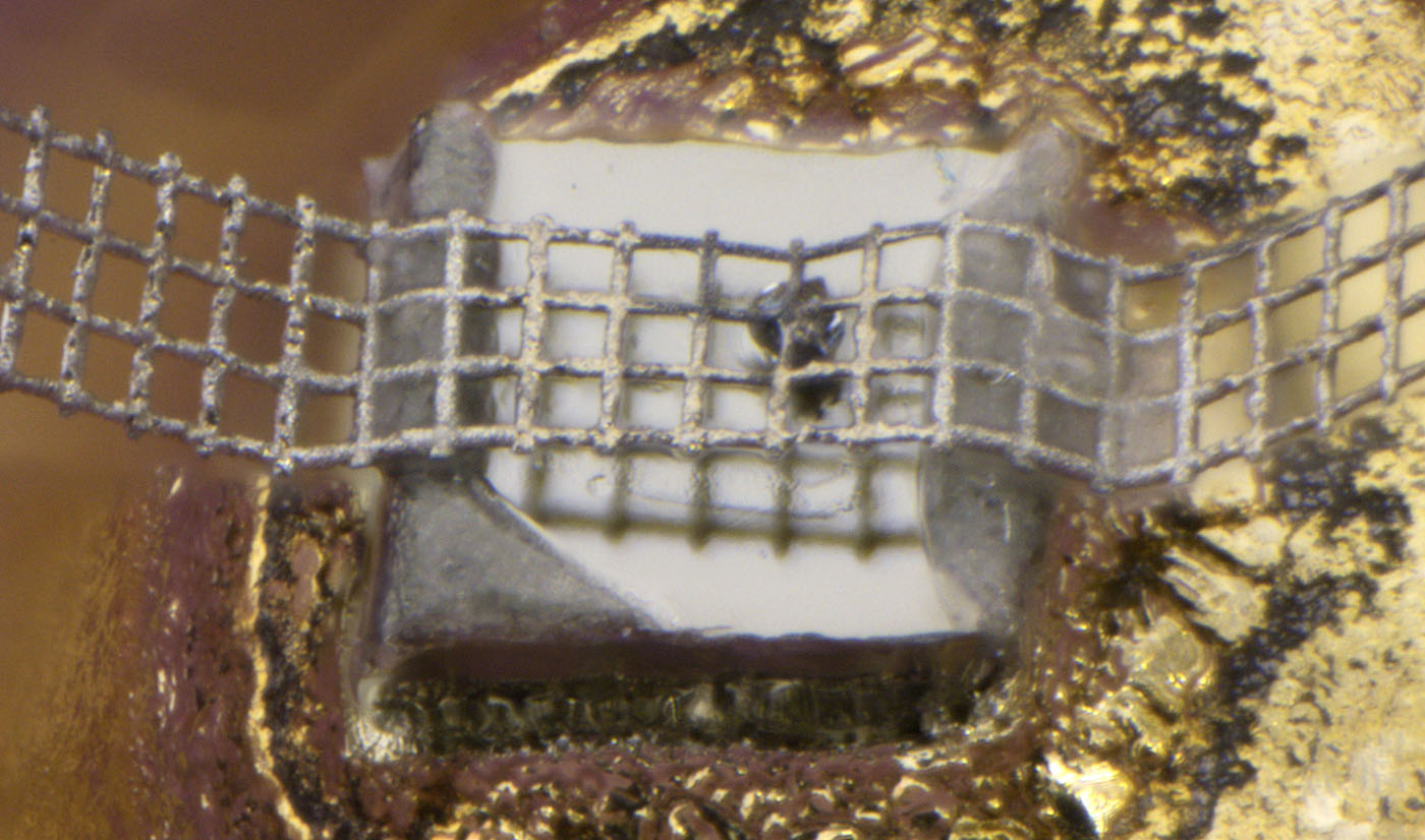 GI308 Die Kontaktierung