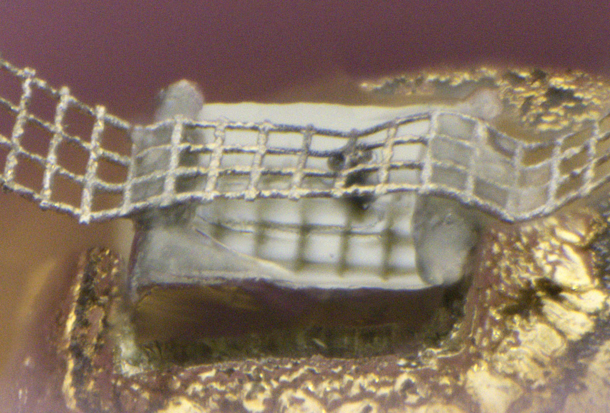 GI308 Die Diode