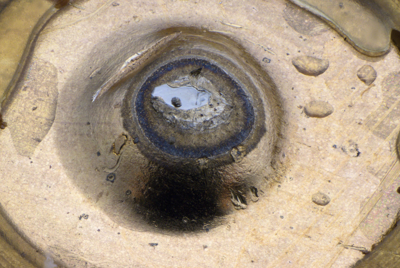 Kapazitätsdiode OA1123 Aufbau