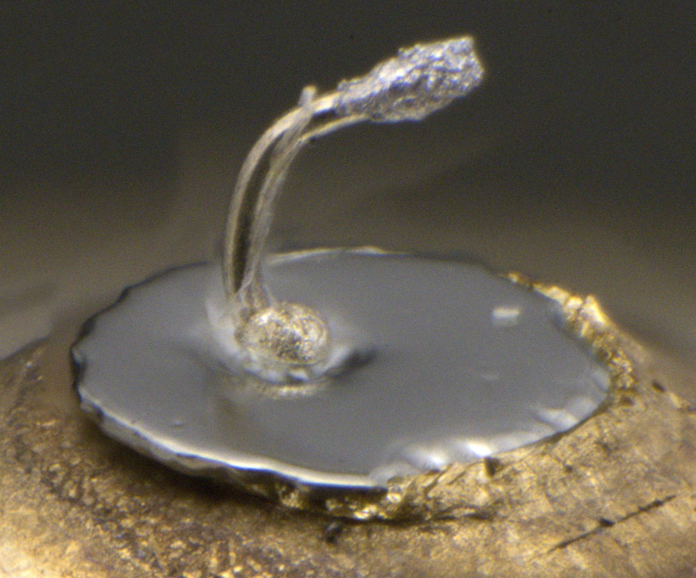 Kapazitätsdiode OA1123 Halbleiter