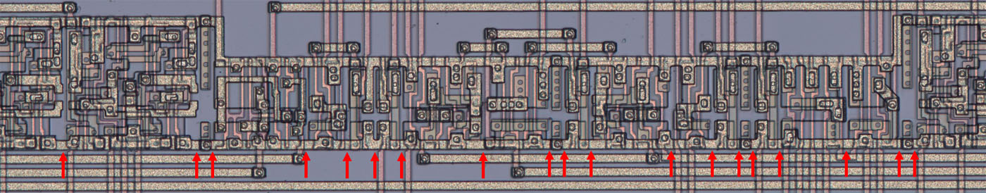 U1525FC007 Die Zellengrenzen