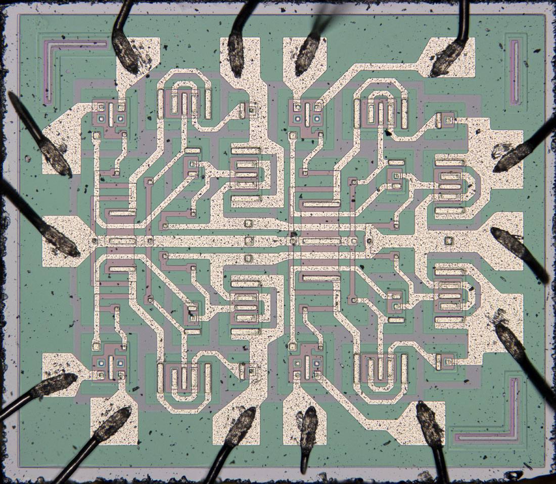 D100 Die