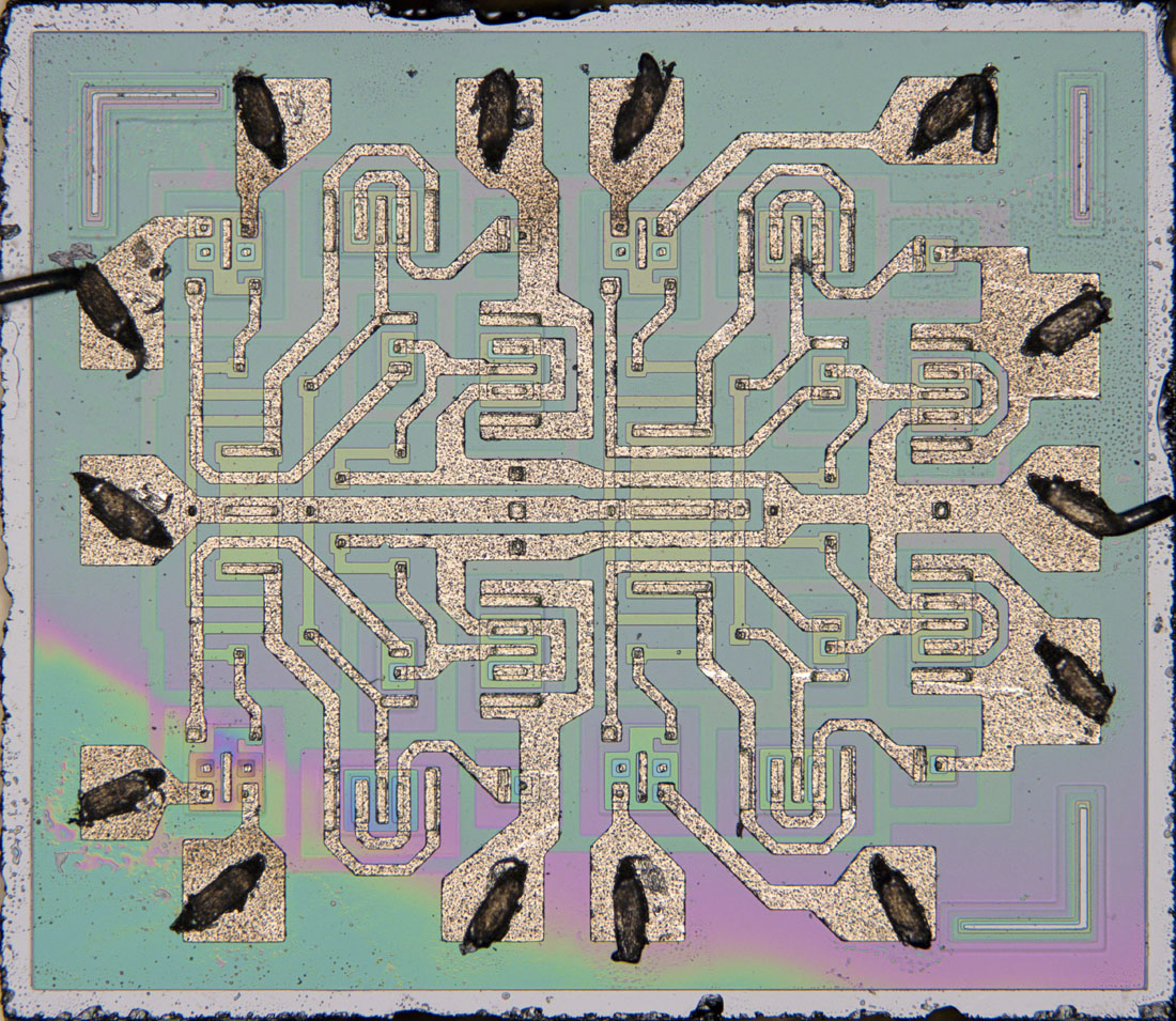D100 Die