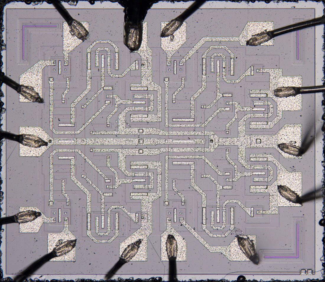 D100 Die