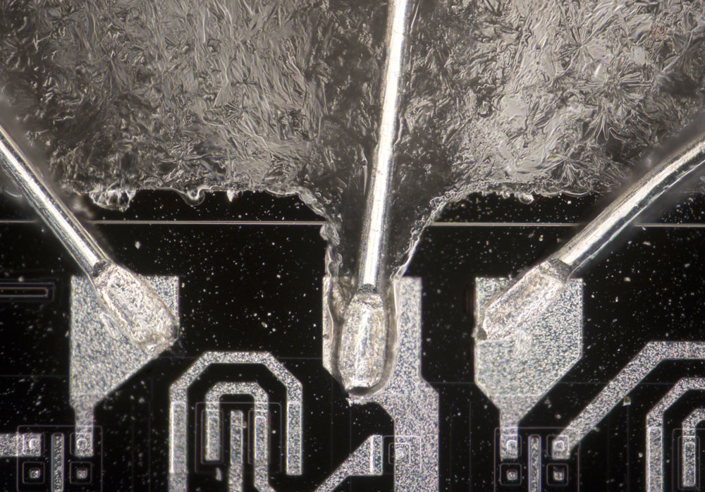 D100 Detail