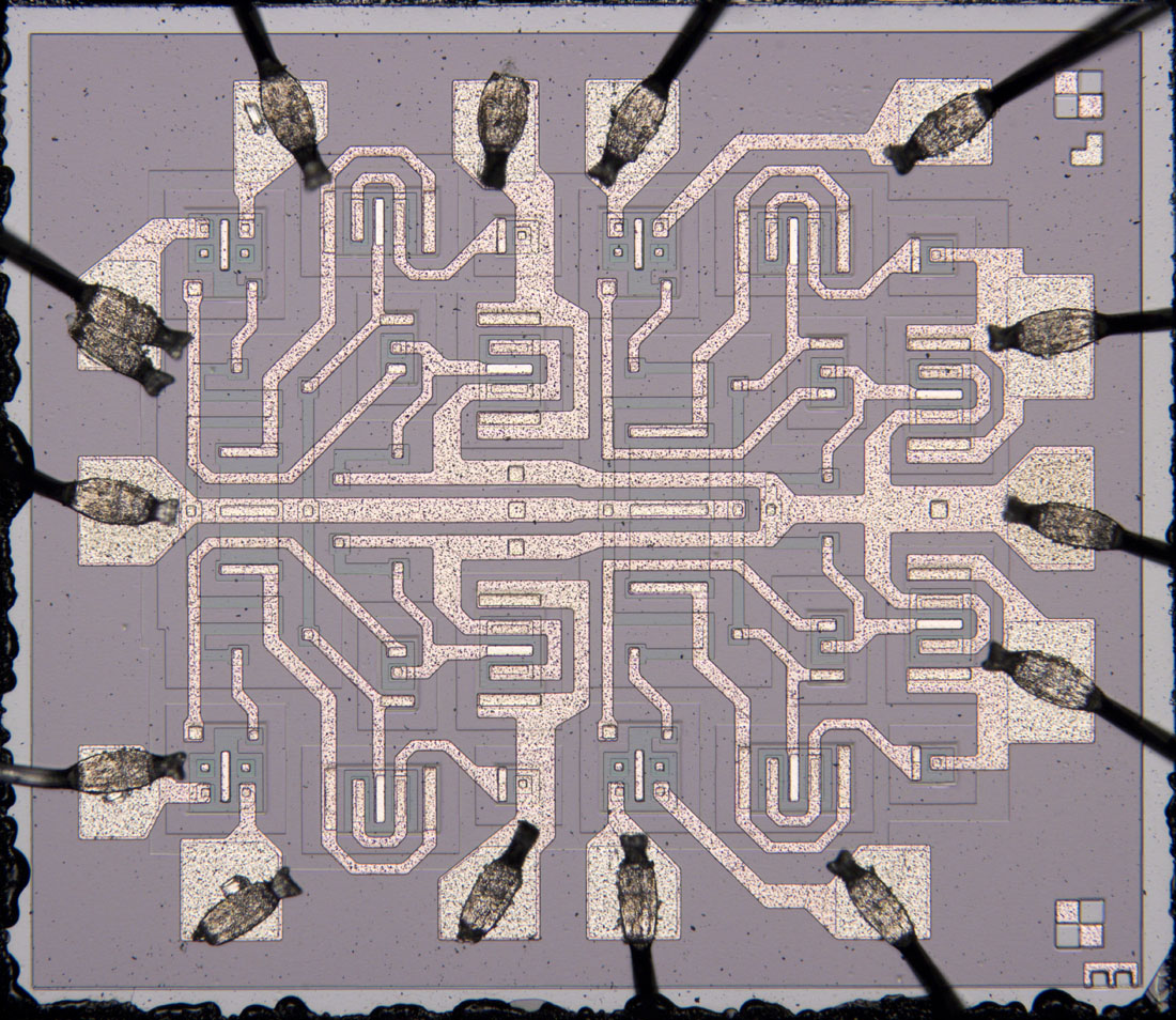 D100 Die