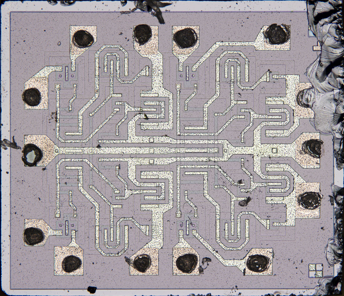 D100 Die