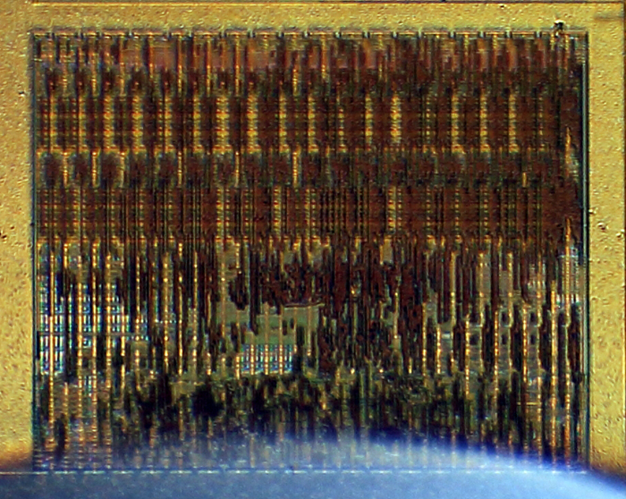 Logitech G9 Avago S6090 Die Detail