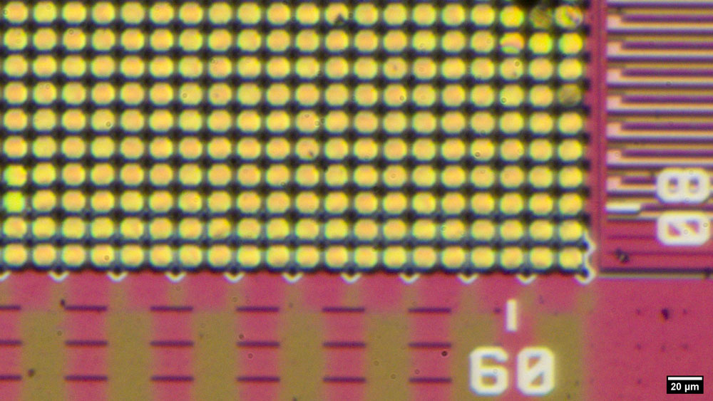 Flir Lepton 2.5 Bildsensor Pixel