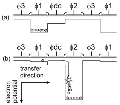 IEEE Electron Multiplying Charge-Coupled Devices