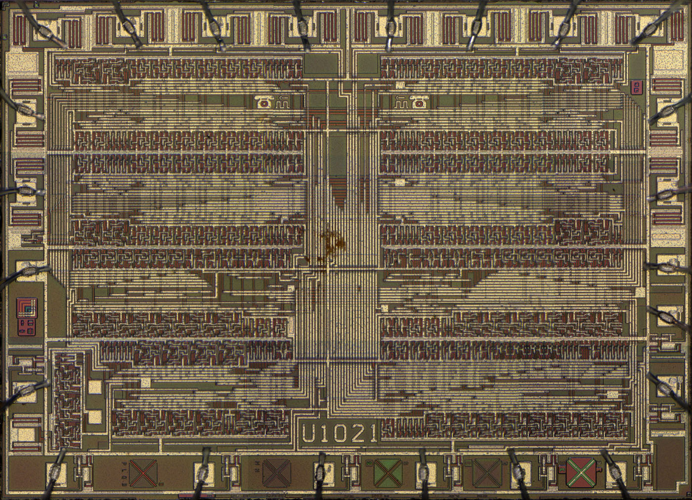 U1021 Die