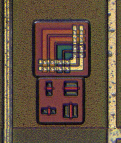 U1021 Die Detail