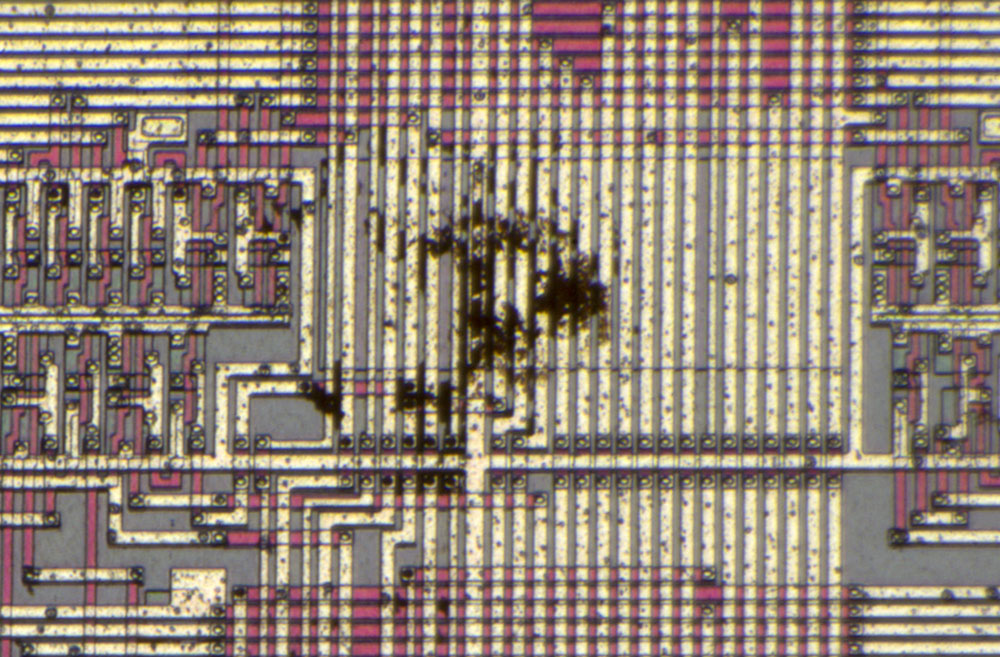 U1021 Die Detail