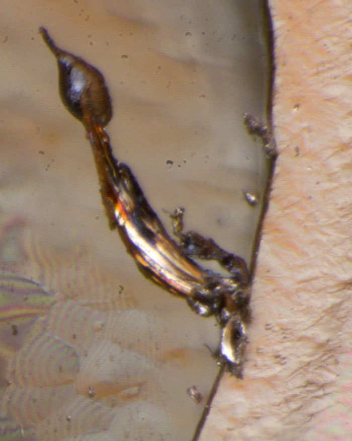 GD241 Dendriten Detail
