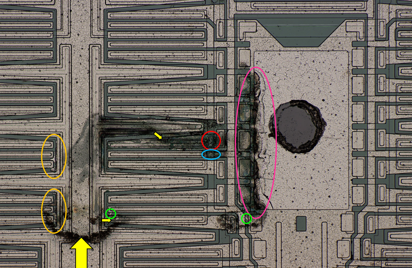 LT1170 Die Schäden